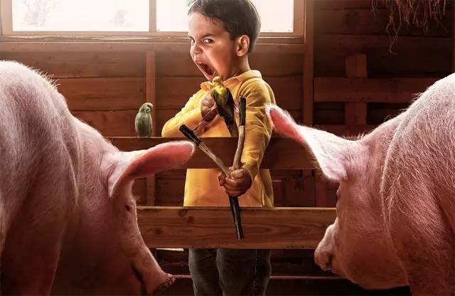 桌边社20170309：《我的闺密是总统》大结局