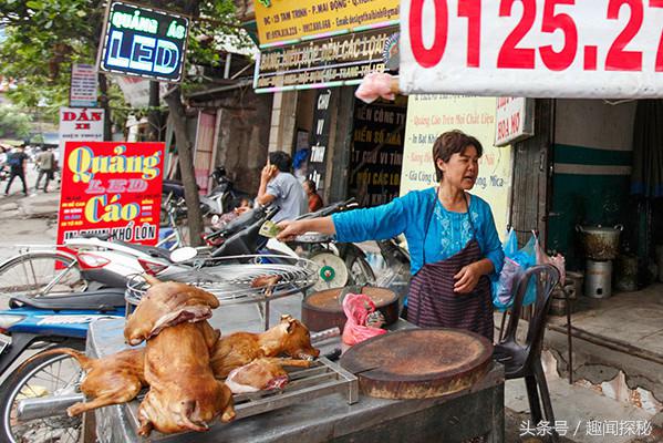 越南狗肉一条街,越南狗市全过程