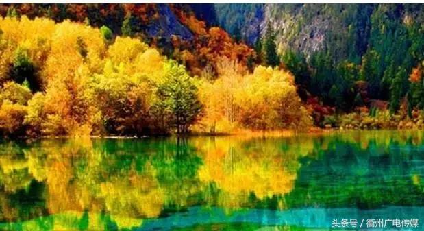 衢州旅行社旅游攻略一日游 (衢州三亚旅行社跟团旅游报价)