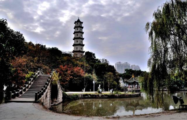 温州旅游攻略文章大全,温州旅游攻略都有哪些景区