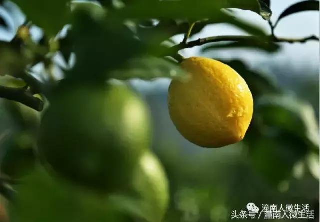 潼南附近的城市好玩的地方,潼南是不是个好地方