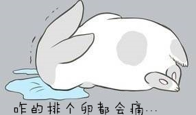 排卵期腰疼卵巢也疼是怎么回事,排卵期小腹痛腰酸是怎么回事