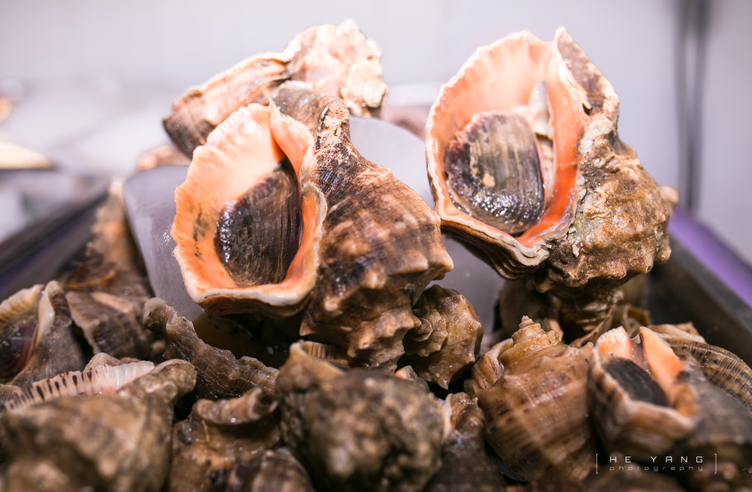 美丽的海滨城市营口鲅鱼圈,营口市鲅鱼圈十年变化