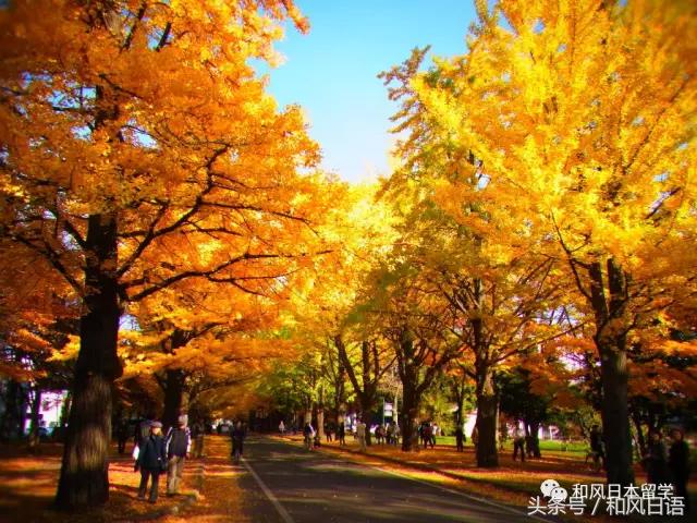 颜值与实力兼备高校,北大为何这么强大