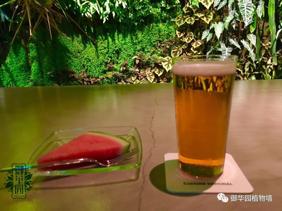 养花养眼养心解乏,卧室养花推荐高级植物