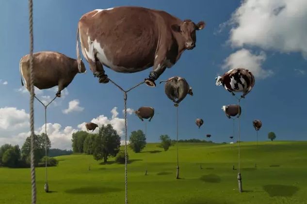 盘点骗人广告,盘点那些虚假广告