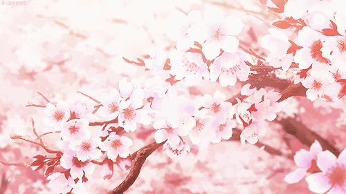 桃花妆out，轮到樱花飞升美妆上神！