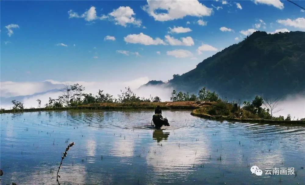 云南省什么地方风景区最好,云南生态环境最好的地方