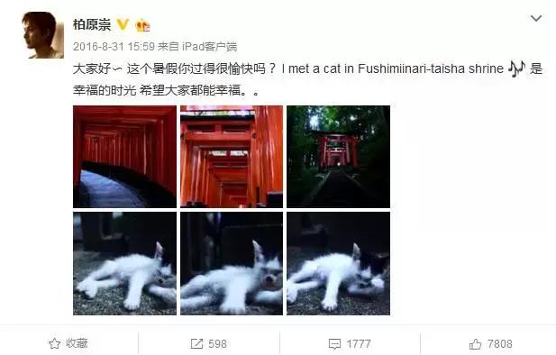 20世纪的美少年柏原崇直树,柏原崇二十世纪最后的美少年