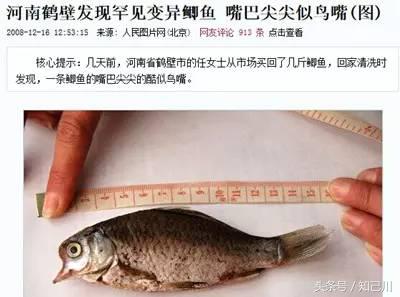 核辐射无印良品还能买吗,无印良品是核辐射地区吗