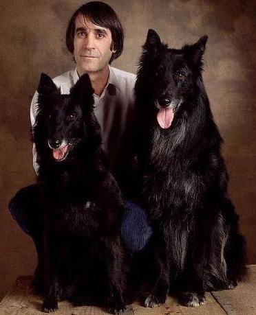 养这些牧羊犬，主子们可得好好调教，不然分分钟给甩脸色！