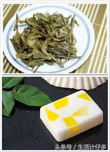 回南天是如何产生霉菌的,回南天霉菌