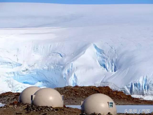 从开普敦到南极，来个一日游怎么样