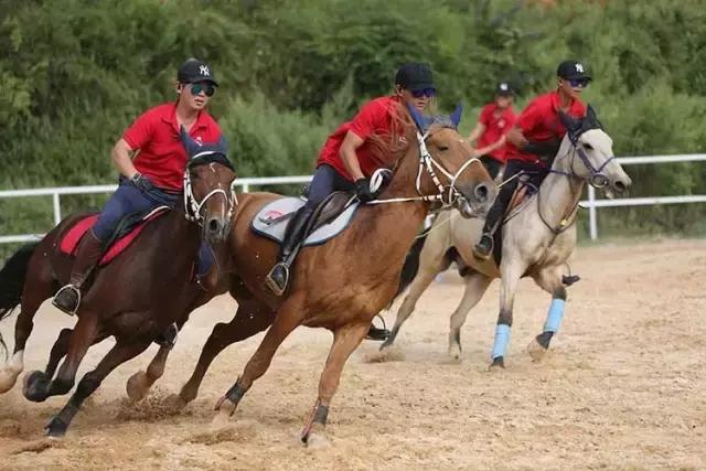 昆明二龙湖御龙马术俱乐部,贵阳市马术俱乐部