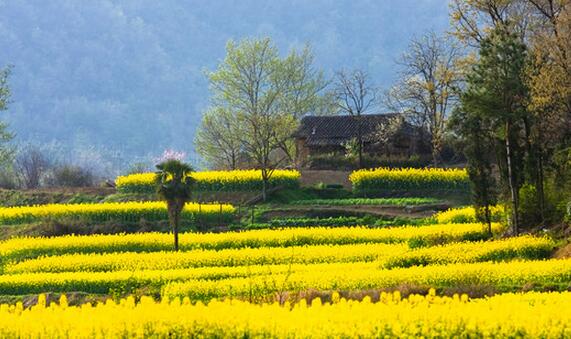 正是春意撩人时的诗句原创,春意风原创