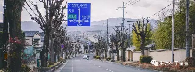 拉面 · 自动贩售机 · 雪｜云之彼岸的日本欢脱之旅