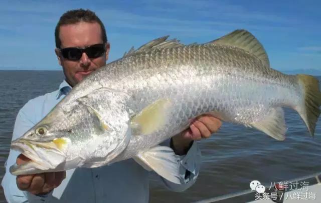 去澳大利亚你能吃到什么特色海鲜？值得收藏的吃货指南