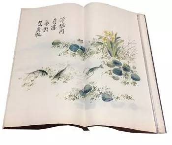 齐白石与芥子园画谱之缘,齐白石画作大全集