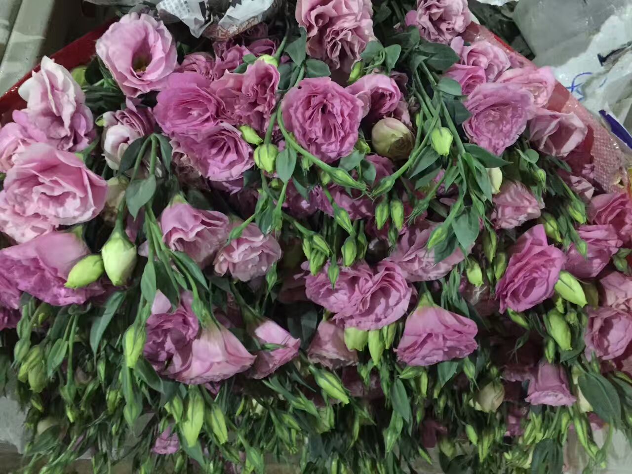 看了这些图，下次去花店你就能把花店里的花花草草叫出名字来了！