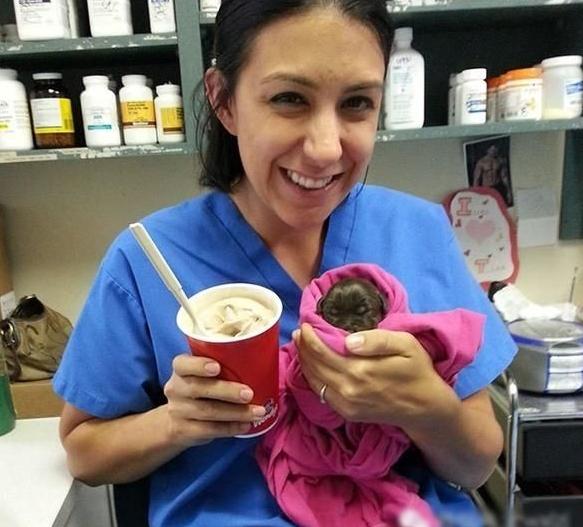 刚出生的小拉布拉多上颚裂,拉布拉多唇腭裂怎么喂活