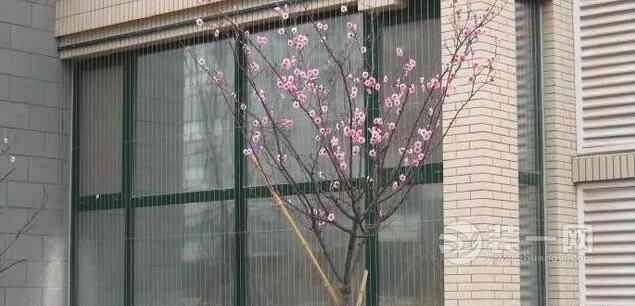 已经封阳台如何安装隐形防盗网,要不要做隐形防盗网和封阳台