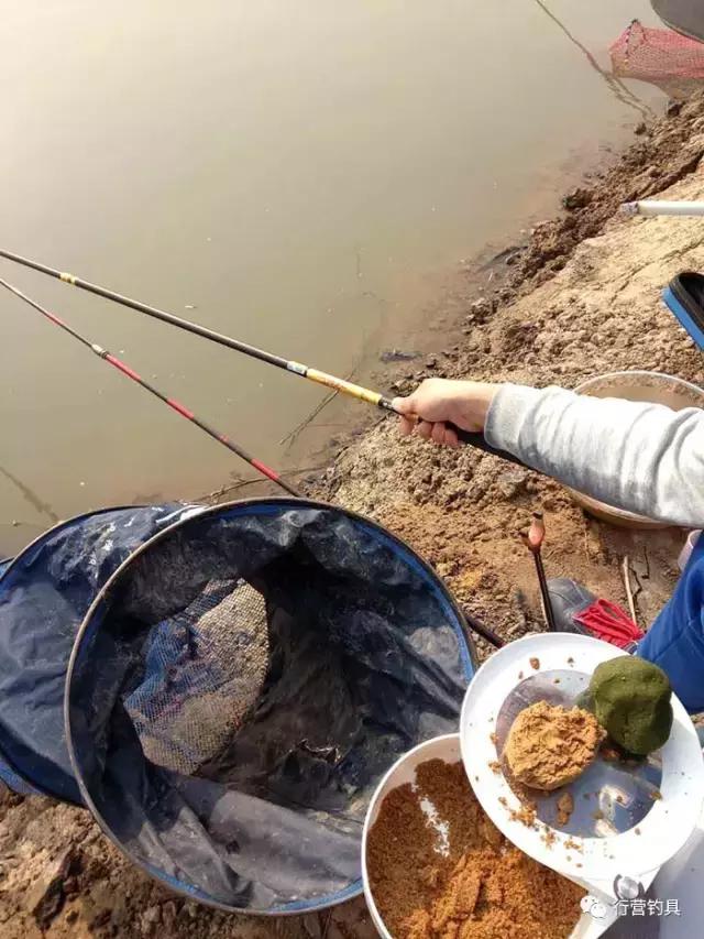 全国钓鱼大赛德州站结果,淮北钓鱼比赛直播