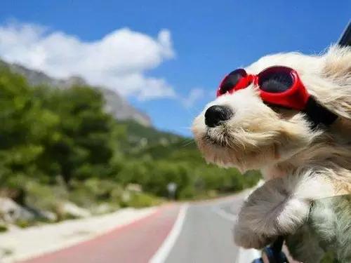 来爱琴海风铃森林,取尽春色留下倩影