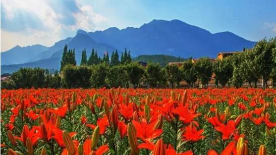 江油值得一逛,江油小城美不美