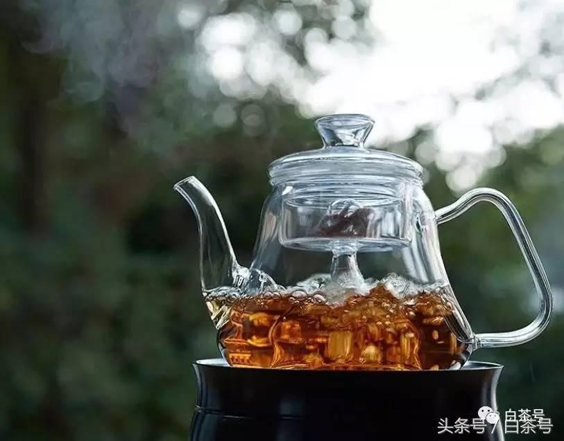 茶话机配合功夫茶,什么茶用煮茶器蒸茶最好