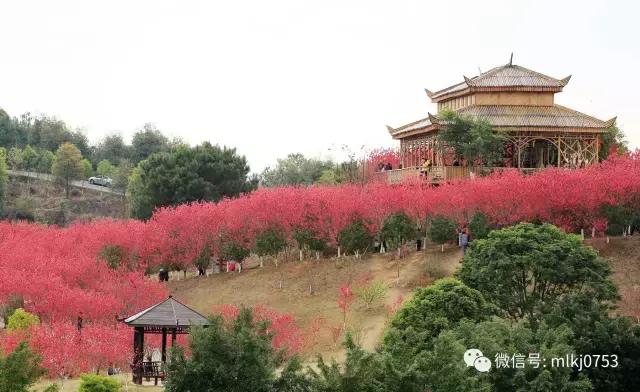 以二十四节气之名，诠释梅州之美