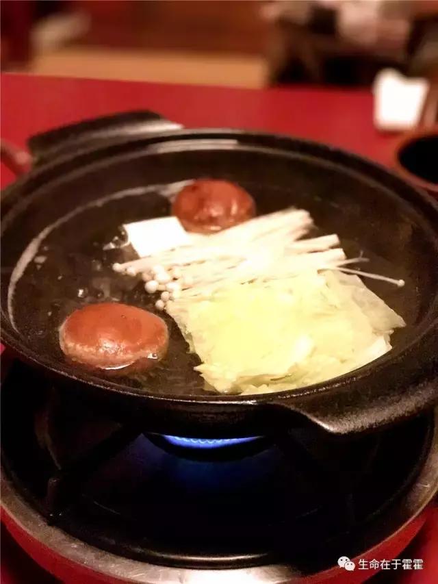 拉面 · 自动贩售机 · 雪｜云之彼岸的日本欢脱之旅