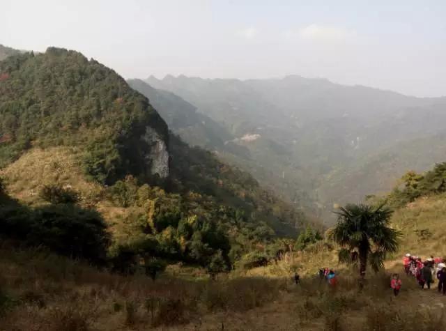 成都周边踏青二日游自驾游,春节成都看花好玩的地方推荐