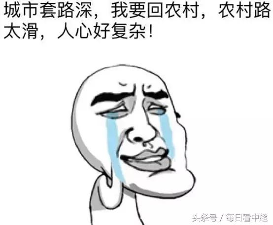 斯帅,斯帅最新讲解视频