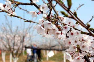 合肥早报新闻,安徽合肥今日新闻直播