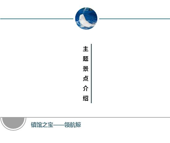 杭州极地海洋游玩图,杭州极地海洋世界旅游攻略