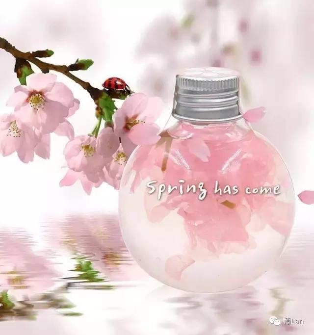 又到樱花季,又到了樱花绽放的季节