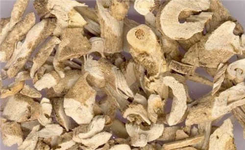 它们都是鼻炎的克星，但很多人都不认识它们，更不知道它们的用处