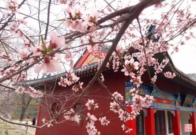 韩国滨海新区,韩国和滨海新区