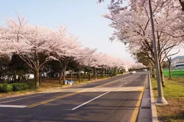 韩国滨海新区,韩国和滨海新区