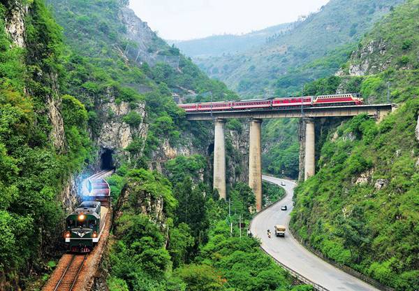 每日花语全集,每日花语蒲公英