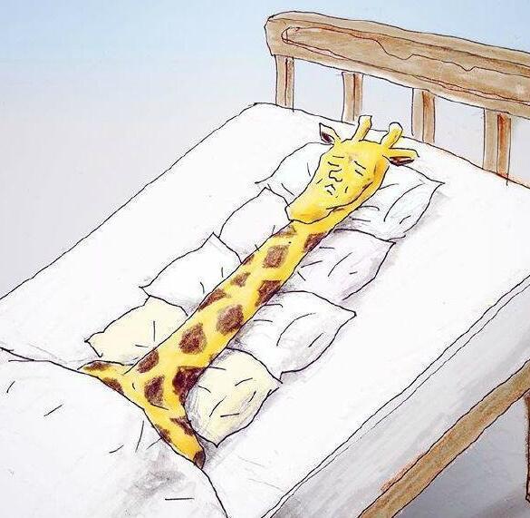 合肥房价跌幅排行榜,合肥二手房价格持续下跌