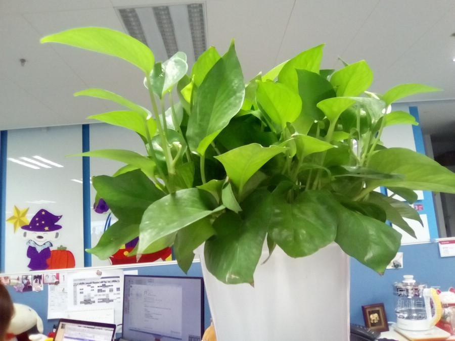 最新魅族flyme系统,魅族flyme10系统评测新功能