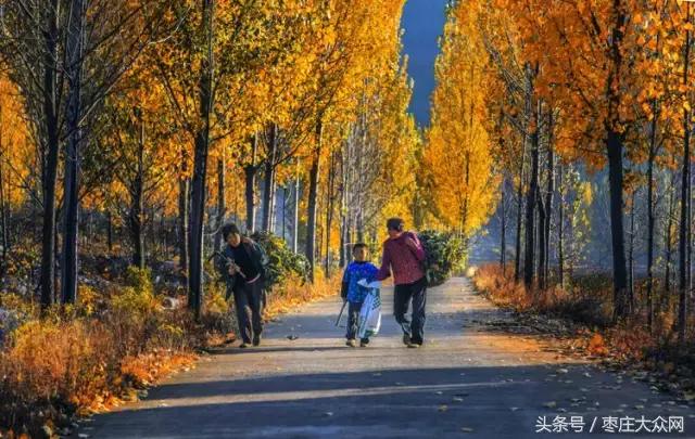 醉美滕州套餐,枣庄风景最美的景点