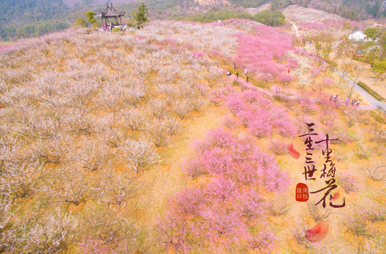 三生三世,十里梅花,遇见张家港