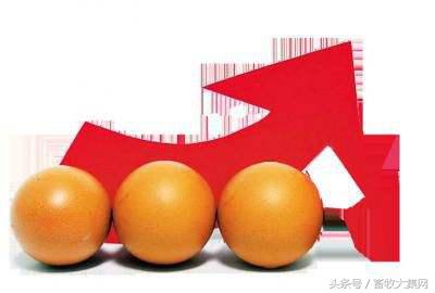 3月17日行情综评:鸡价再度大涨蛋价稳步小涨猪价仍需等待