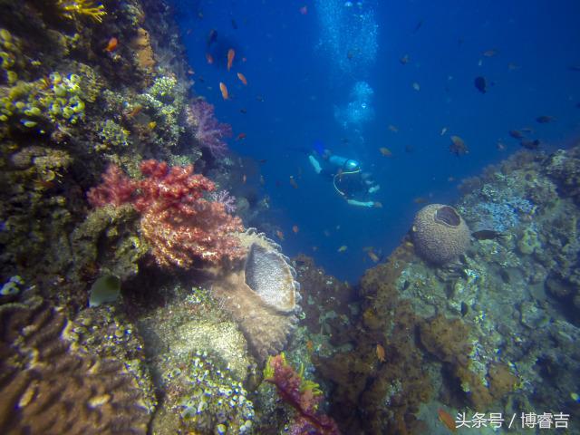 体验过你从未体验过的情感,体验你没体验过的人生
