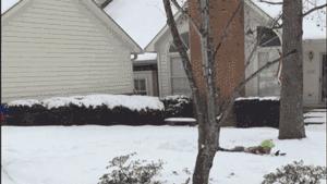 今日GIF「20期」：联合国确认1992年生的人已经步入中年