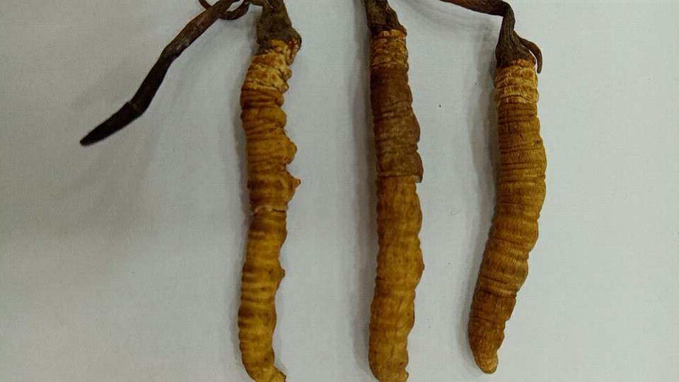 老中医讲经验分享一味好中药,中医遇到束手无策时补什么