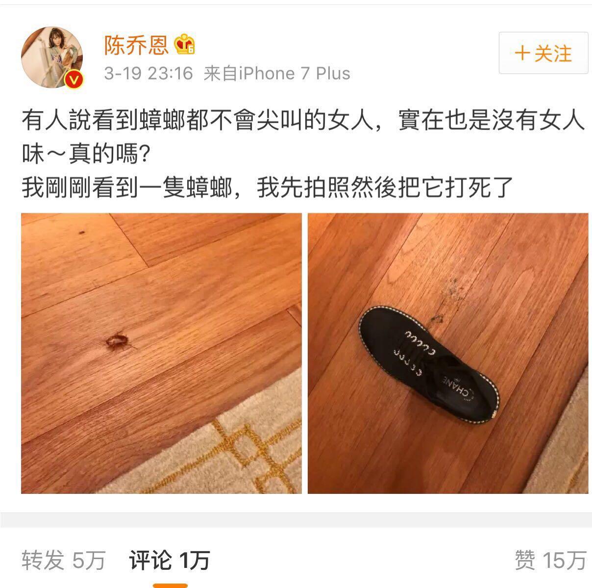 网友说陈乔恩的蟑螂死得贵气，不过陆毅能买豪车却出不起洗车钱？