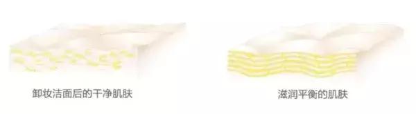 妍丽家的身体乳有哪些,妍丽奥尔滨为啥便宜